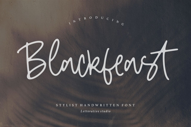 Blackfeast Stylist Handwritten Font Font Letterative 