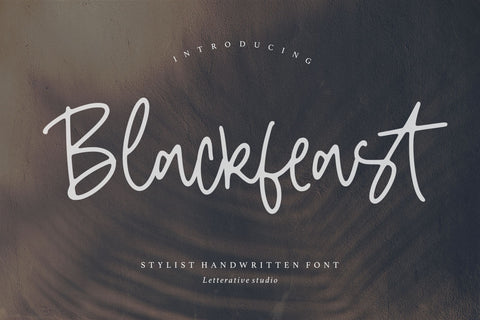 Blackfeast Stylist Handwritten Font - So Fontsy