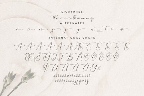 Blacksttam Luxury Script Font Font Storytype Studio 