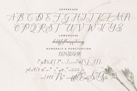 Blacksttam Luxury Script Font Font Storytype Studio 