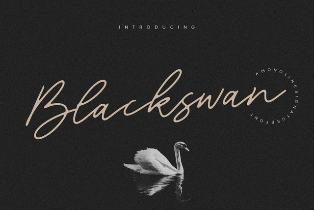 Blackswan Monoline Signature Font Font Letterative 