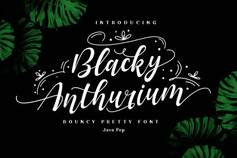 Blacky Anthurium / bouncy pretty font Font Javapep 