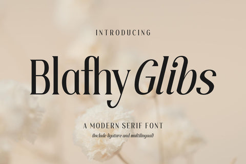 Blafhy Glibs Typeface Font Storytype Studio 