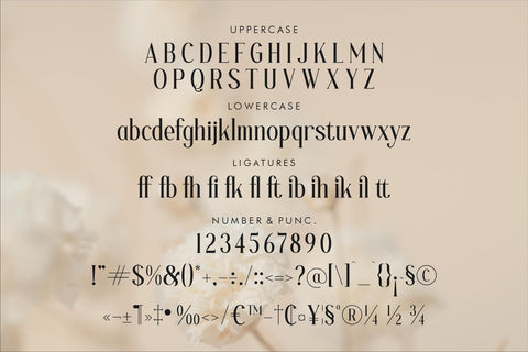 Blafhy Glibs Typeface Font Storytype Studio 