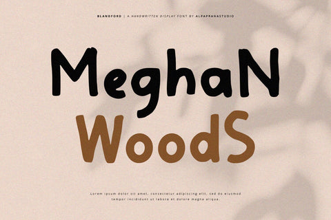 Blandford - Handwritten Font Font Alpaprana Studio 