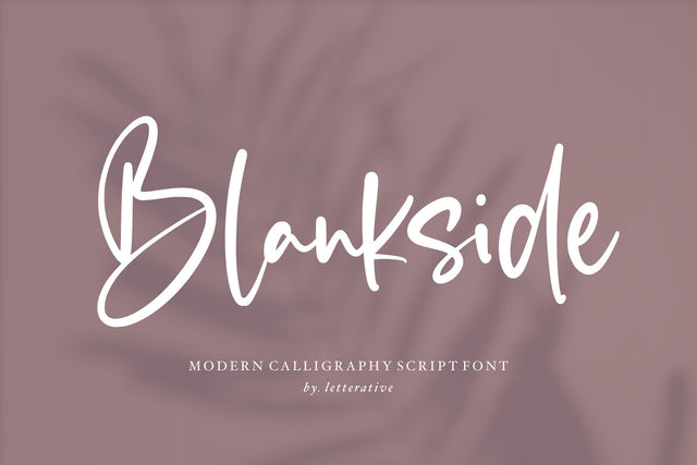 Blankside Modern Calligraphy Font Font Letterative 