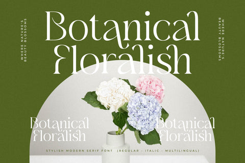 Blanvad Typeface Font Storytype Studio 