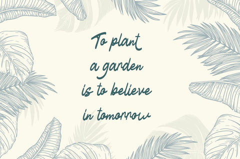 Blathe - Script Font Font Attype studio 