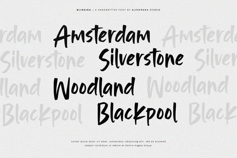 Blinking - Handwritten Font Font Alpaprana Studio 