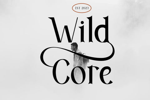 Blogger Serif Font Rotterlab studio 