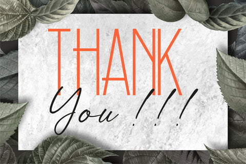 Bloom Christine Font Letterena Studios 