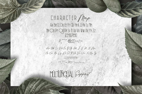 Bloom Christine Font Letterena Studios 