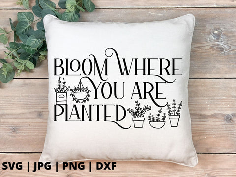 Bloom where you are planted 3 SVG Good Morning Chaos 