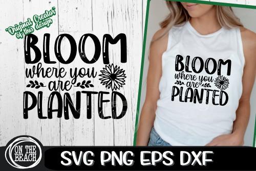 Bloom Where You Are Planted - Garden - SVG PNG EPS DXF SVG On the Beach Boutique 