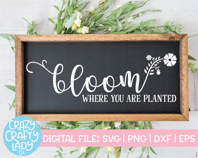 Bloom Where You Are Planted SVG Crazy Crafty Lady Co. 