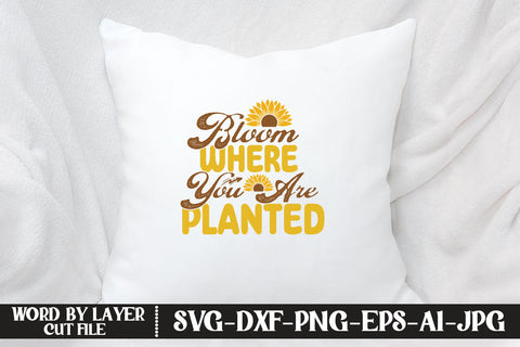 Bloom Where You Are Planted SVG CUT FILE SVG MStudio 