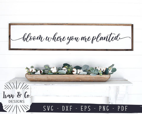 Bloom Where You Are Planted SVG Files | Gardening | Farmhouse Decor SVG (916726974) SVG Ivan & Co. Designs 