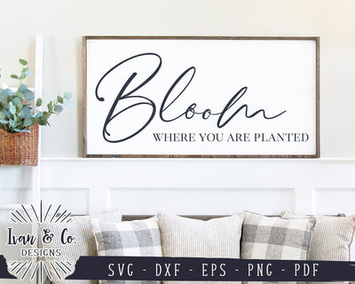 Bloom Where You Are Planted SVG Files | Gardening | Farmhouse Decor SVG (930635319) SVG Ivan & Co. Designs 