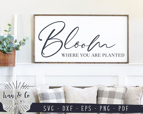 Bloom Where You Are Planted SVG Files | Gardening | Farmhouse Decor SVG (930635319) SVG Ivan & Co. Designs 