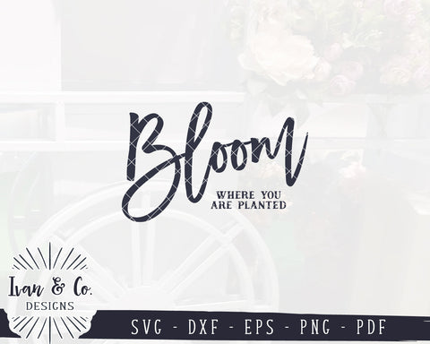 Bloom Where You Are Planted SVG Files | Spring Svg | Gardening Svg | Kids Svg | Farmhouse Decor | Commercial Use | Digital Cut Files (1162490605) SVG Ivan & Co. Designs 