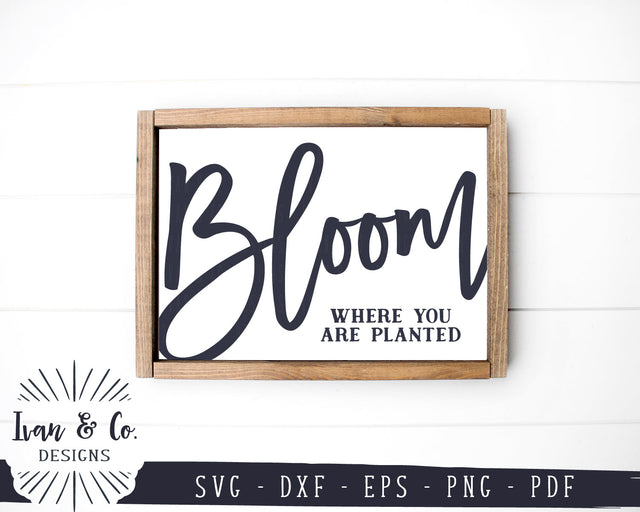 Bloom Where You Are Planted SVG Files | Spring Svg | Gardening Svg | Kids Svg | Farmhouse Decor | Commercial Use | Digital Cut Files (1162490605) SVG Ivan & Co. Designs 