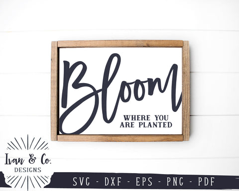 Bloom Where You Are Planted SVG Files | Spring Svg | Gardening Svg | Kids Svg | Farmhouse Decor | Commercial Use | Digital Cut Files (1162490605) SVG Ivan & Co. Designs 