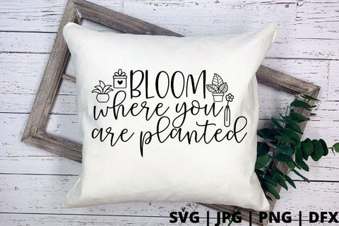 Bloom where you are planted SVG Good Morning Chaos 