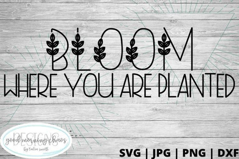 Bloom where you are planted SVG Good Morning Chaos 