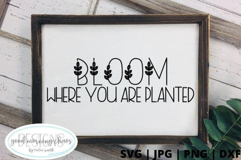 Bloom where you are planted SVG Good Morning Chaos 