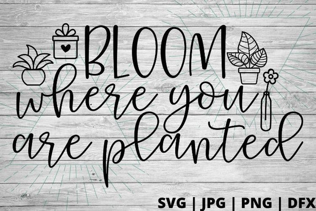 Bloom where you are planted SVG Good Morning Chaos 