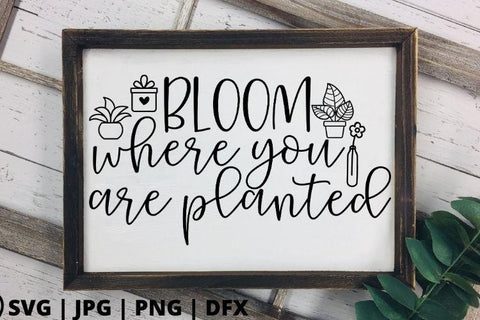 Bloom where you are planted SVG Good Morning Chaos 