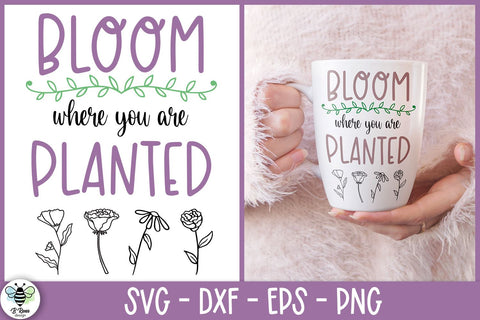 Bloom Where You Are Planted SVG | Positive Quote SVG B Renee Design 