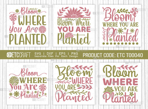 Bloom Where You Are Planted SVG | Spring Bundle Svg | Hello Spring Svg | Spring Quote Design | ETC T00040Bloom Where You Are Planted SVG | Spring Bundle Svg | Hello Spring Svg | Flower Svg | Spring Blooms Svg | Spring Quote Design | ETC T00040 SVG ETC Craft 