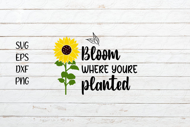 Bloom where you are planted svg, Sunflower Saying svg SVG SmmrDesign 