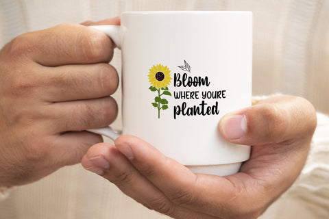 Bloom where you are planted svg, Sunflower Saying svg SVG SmmrDesign 