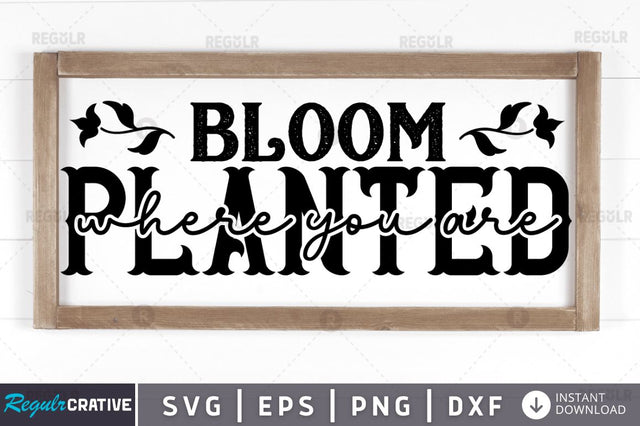 Bloom where you are planted SVG SVG Regulrcrative 