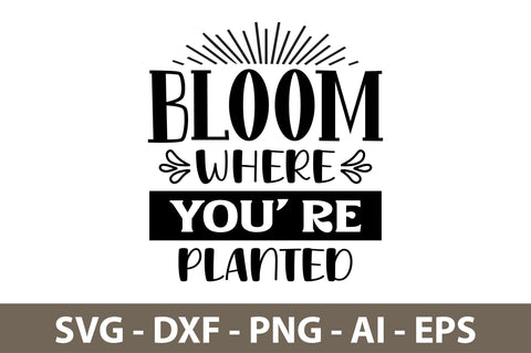 Bloom Where You' Re Planted svg SVG nirmal108roy 