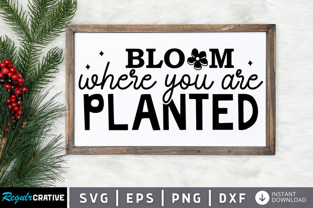 Bloom where you SVG Design SVG Regulrcrative 