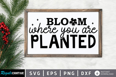 Bloom where you SVG Design SVG Regulrcrative 