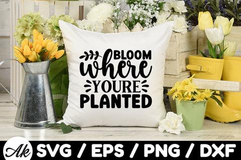 Bloom where you're planted svg SVG akazaddesign 