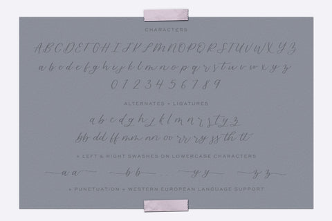 Blossomberry Script Font with Swashes Font Beck McCormick 