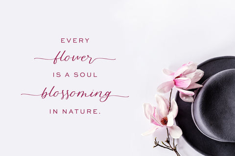 Blossomberry Script Font with Swashes Font Beck McCormick 