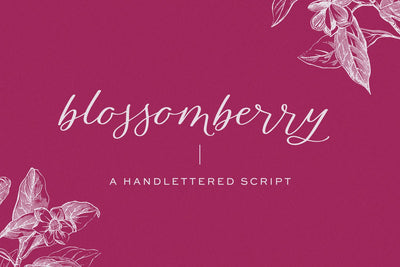 Blossomberry Script Font with Swashes Font Beck McCormick 