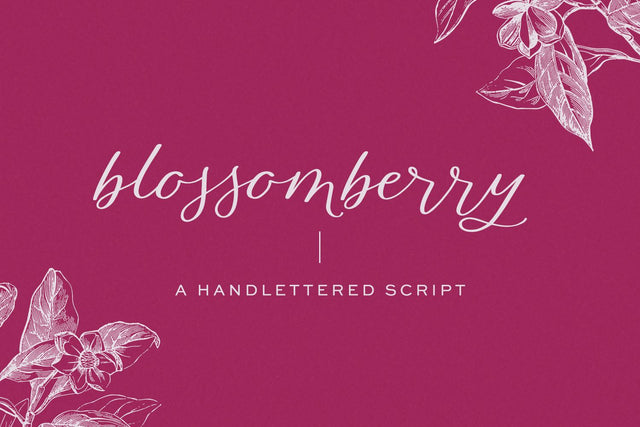 Blossomberry Script Font with Swashes Font Beck McCormick 