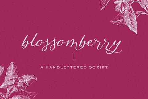Blossomberry Script Font with Swashes Font Beck McCormick 