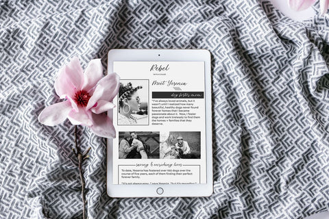 Blossomberry Script Font with Swashes Font Beck McCormick 