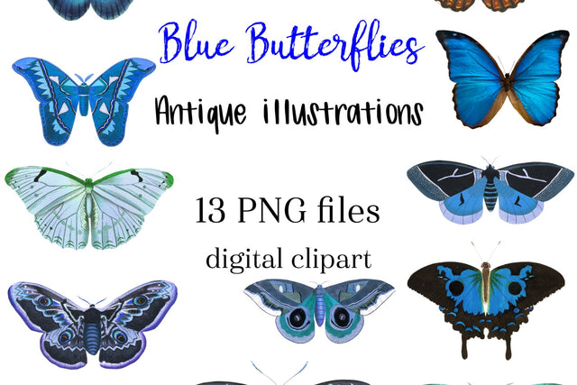 Blue Vintage Butterfly Clipart Sublimation Natasha Prando 