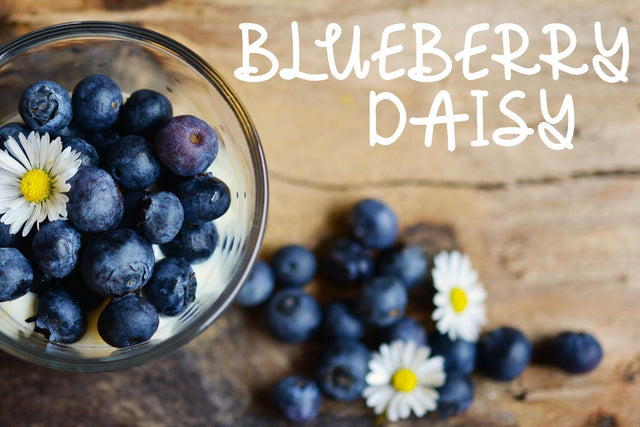 Blueberry Daisy Font Cheese Toast Digitals