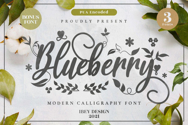 Blueberry - Modern Calligraphy font Font Ibey Design 