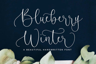 Blueberry Winter Beautiful Handwritten Font Font Letterative 
